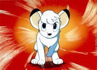 Profile Image for Teena Kennedy.