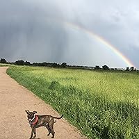 Profile Image for Kristin K. Sampson.