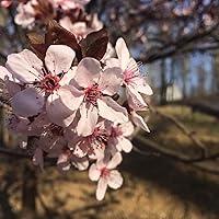 Profile Image for C.