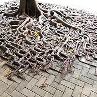 Wayfinding: People, Signs and Architecture by Paul Arthur