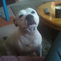 Profile Image for alison jones.