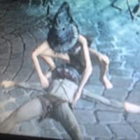 Profile Image for Evan?.