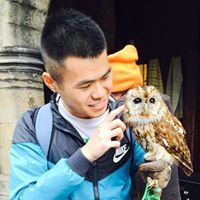 Profile Image for Dino Wong.