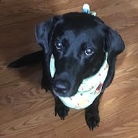 Profile Image for Linda.