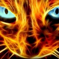 Profile Image for Jacksonb.