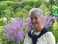 Profile Image for Judith Harmon.