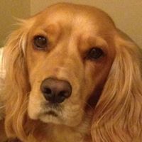Profile Image for Jac Wilson.