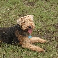 Profile Image for Morgan.