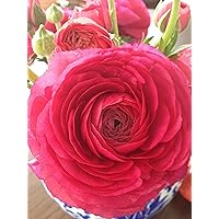 Profile Image for Michala.