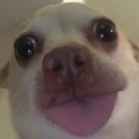 Profile Image for urdad.