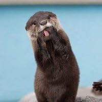 Profile Image for Tabitha Finlinson.