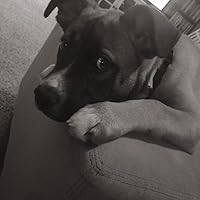 Profile Image for Logan.