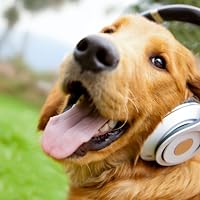 Profile Image for Destiny Dogs.