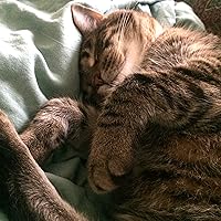 Profile Image for Sam Mowry.