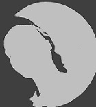 Profile Image for Dodekafonia Literatury.