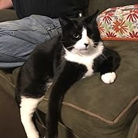 Profile Image for Laurie A Friedman.