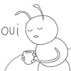 Ant