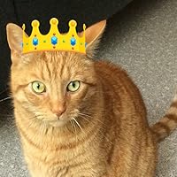 Profile Image for Judith.