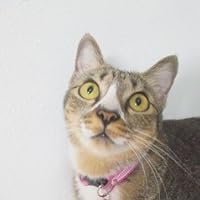 Profile Image for Jaa.