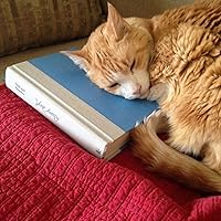 Profile Image for Paula.