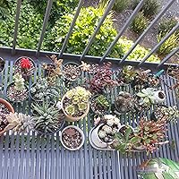 Profile Image for h.