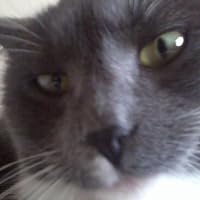 Profile Image for Alex.