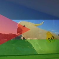 Profile Image for Kevin Herbert.