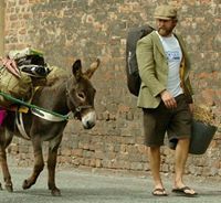 Profile Image for Tom Baxter.