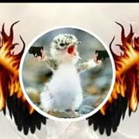 Profile Image for Lisa Marie ~ Words We Love By.