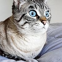 Profile Image for Bryn.