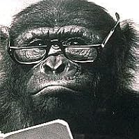 Profile Image for Teacher Man.