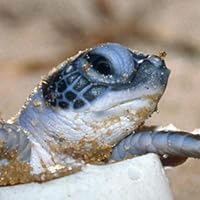 Profile Image for Craig.