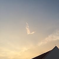 Profile Image for J C.