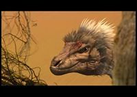Dragons: Fearsome Monsters from Myth and Fiction by Gerrie McCall |  Goodreads