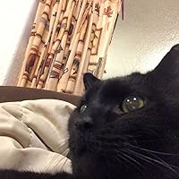 Profile Image for Caralyn Cox.