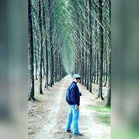 Profile Image for Bob Saputra Tanjung.