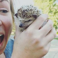 Profile Image for Sarah Olevsky.