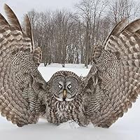 Profile Image for Jen Hyatt.