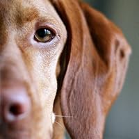 Profile Image for Júlia.