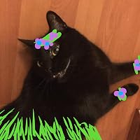 Profile Image for Laura.
