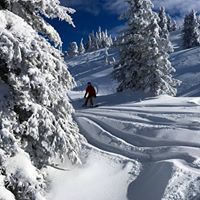 Profile Image for Jennifer.