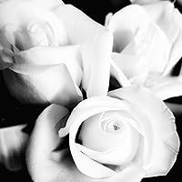 Profile Image for Vanessa.