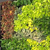 Profile Image for Samina S. Datta.
