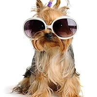 Profile Image for Diana.