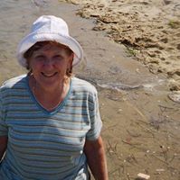 Profile Image for Elaine Valovic.