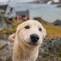 自分の中に毒を持て (青春文庫) (Japanese Edition) by 岡本 太郎