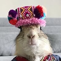 Profile Image for Dan.