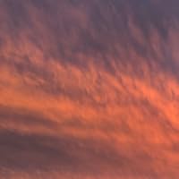 Profile Image for Georgia Hansard.