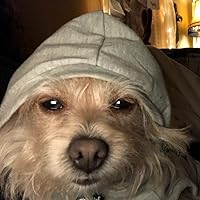 Profile Image for gimmethosebooks.