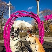 Japan: A Reinterpretation by Patrick Smith | Goodreads